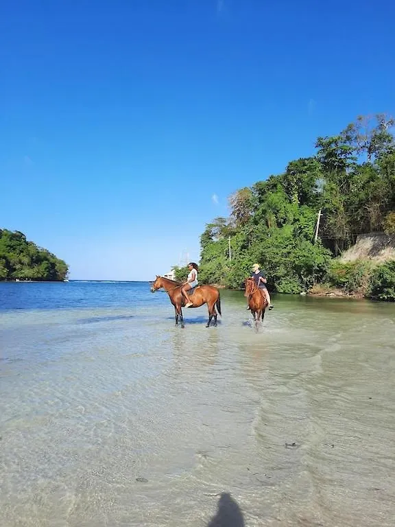 Amazing Location! Walk To Town, Beach & Dinner - Payment Required To Reserve Ocho Rios Appartement