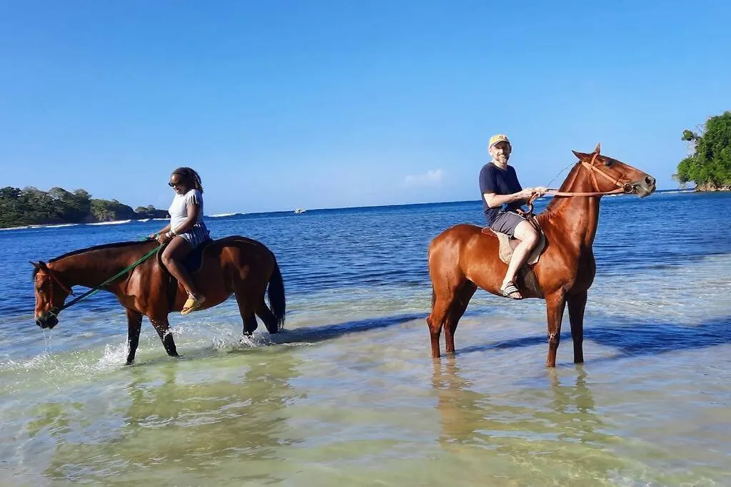 Amazing Location! Walk To Town, Beach & Dinner - Payment Required To Reserve Ocho Rios 0*,