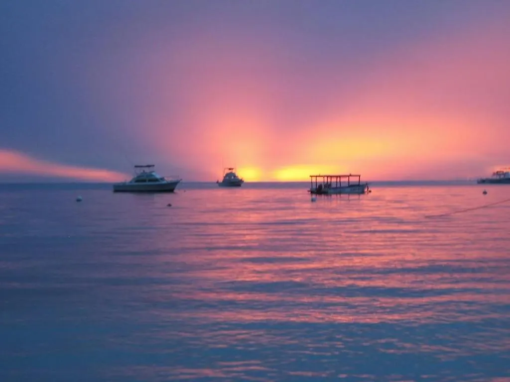 Apartment Amazing Location! Walk To Town, Beach & Dinner - Payment Required To Reserve Ocho Rios