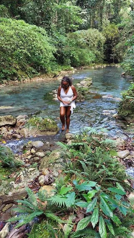 Amazing Location! Walk To Town, Beach & Dinner - Payment Required To Reserve Ocho Rios Apartment